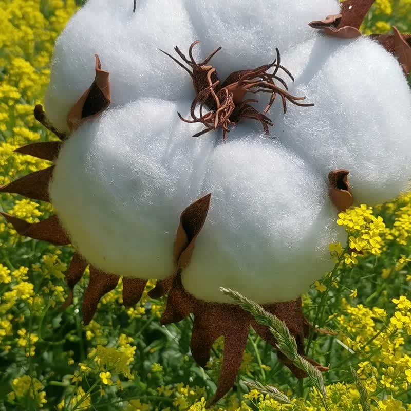 棉花花。婚礼背景。巨型花束。大型白色人造花 - 其他 - 其他材质 