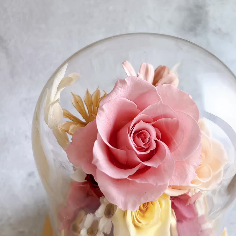 玫瑰花玻璃盅 玻璃罩 永生玫瑰花  生日礼物 粉色玫瑰 - 干燥花/捧花 - 植物．花 粉红色